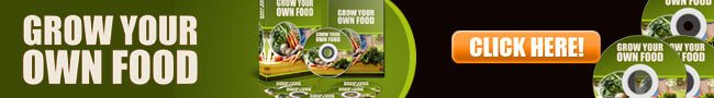 Grow Your Own Food