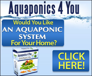 Aquaponics For You